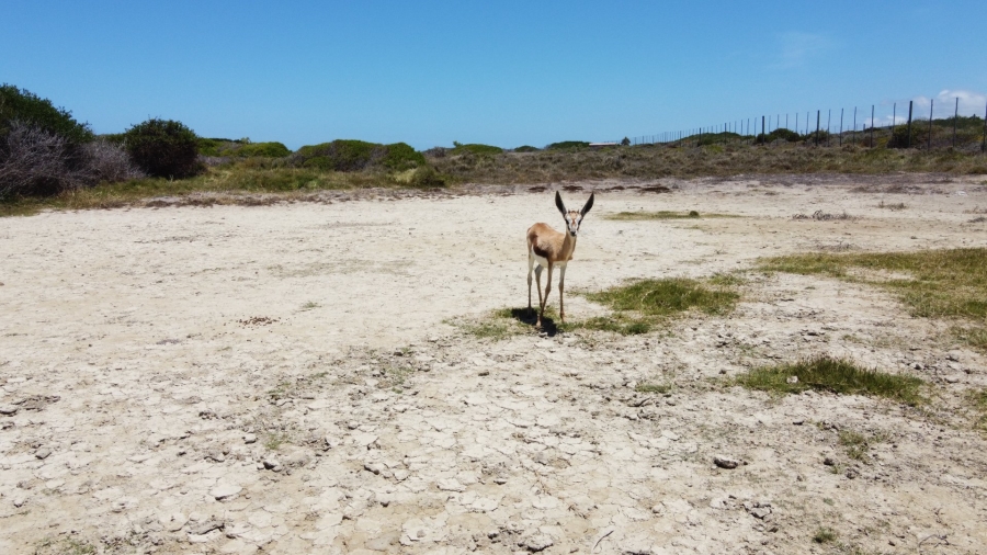 Commercial Property for Sale in Mossel Bay Rural Western Cape